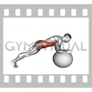 Stability Ball Front Plank