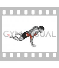 Single Arm Push-up (on knees)