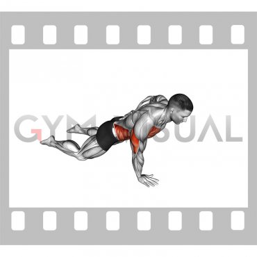 Single Arm Push-up (on knees)