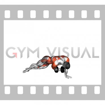 Dumbbell Side Plank with Rear Fly