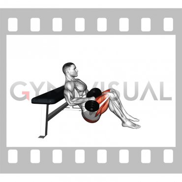 Dumbbell Hip Thrust