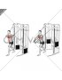 Cable Low Chest Press (male)