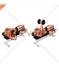 Dumbell One Arm Side Lying Bench Press (male)