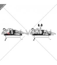 Dumbbell Side Lying External Rotation (on a bench) (male)