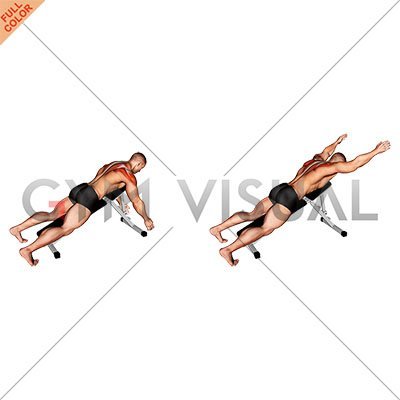 Prone Y Raise male Prone Y Raise male
