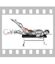 Lying Alternate Hip Extension (male)