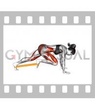 Resistance Band Plank March (female)