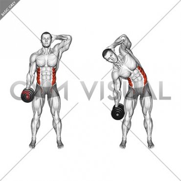 Dumbbell Side Bend