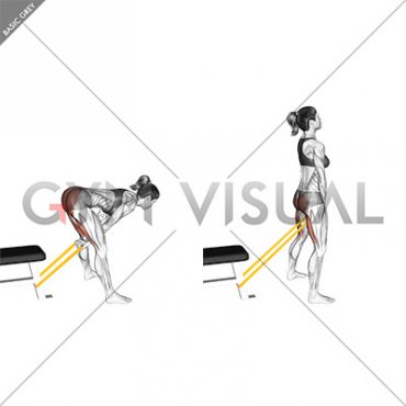 Resistance Band Pull Through (female)
