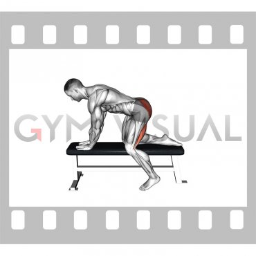 Bench Hip Extension