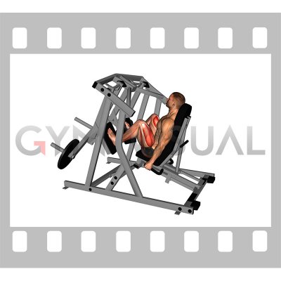 Lever Alternate Leg Press (plate loaded)