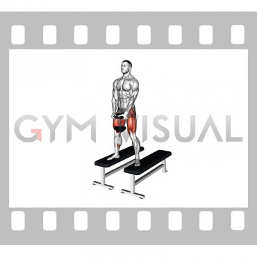 Dumbbell Sumo Squat Off Benches (male)