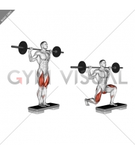 Barbell Rear Lunge (version 2)