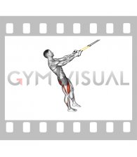 Suspender Single Leg Squat (male)