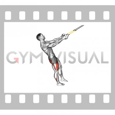 Suspender Single Leg Squat (male)