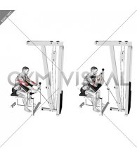 Cable Reverse Preacher Curl