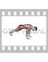 Mountain Climber Lunge (male)