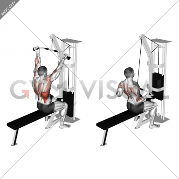 Cable Underhand Pulldown
