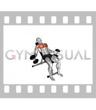 Hyght Dumbbell Fly