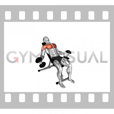 Hyght Dumbbell Fly