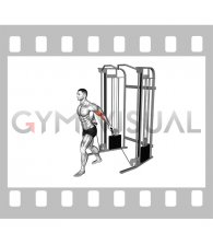 Cable Unilateral Biceps Curl