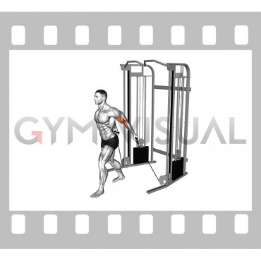 Cable Unilateral Bicep Curl