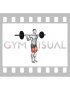 Barbell Narrow Stance Squat (male)