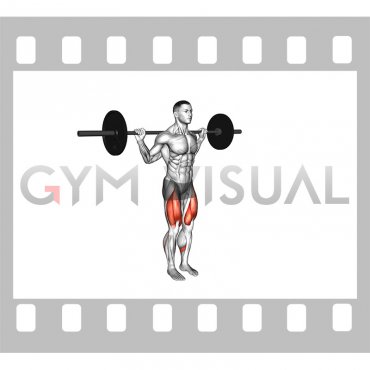 Barbell Narrow Stance Squat (male)