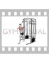 Cable Low Chest Press (male)