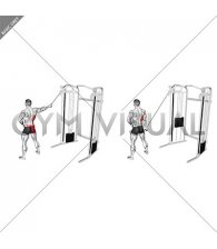 Single Arm Side Straight Arm Lat Pulldown (male)