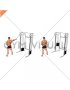 Single Arm Side Straight Arm Lat Pulldown (male)