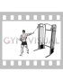 Single Arm Side Straight Arm Lat Pulldown (male)