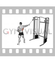 Single Arm Side Straight Arm Lat Pulldown (male)