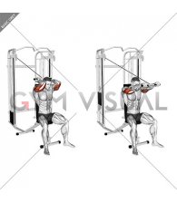 Cable Seated High Pulley Overhead Triceps Extension