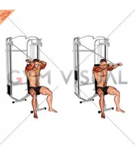 Cable Seated High Pulley Overhead Triceps Extension