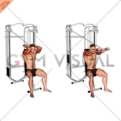 Triceps Extension With Superior Cables •