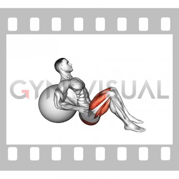 Lying Hip Lift (on stability ball) (male)