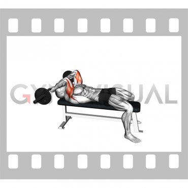 EZ Barbell Lying Triceps Extension (male)