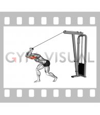 Cable High Pulley Straight Bar Overhead Triceps Extension