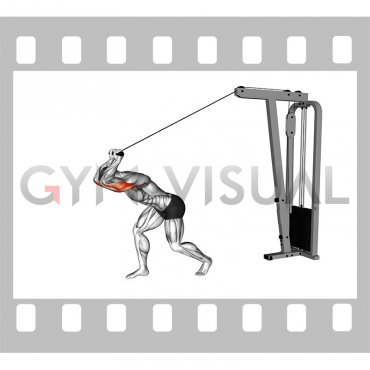 Cable High Pulley Straight Bar Overhead Triceps Extension