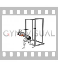 Band High Pulley Overhead Triceps Extension