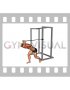 Band High Pulley Overhead Triceps Extension