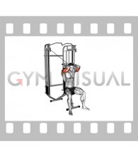 Cable Seated High Pulley Overhead Tricep Extension