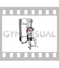 Cable Seated High Pulley Overhead Triceps Extension