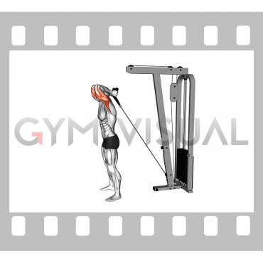 Cable Overhead Triceps Extension (rope attachment)