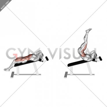 Incline Leg Hip Raise (leg straight)