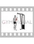Cable One Arm Tricep Pushdown