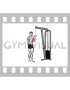 Cable One Arm Triceps Pushdown