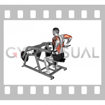 Lever Triceps Dip (plate loaded)