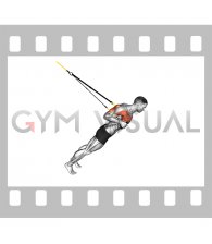 Suspender Close grip Chest Press (male)